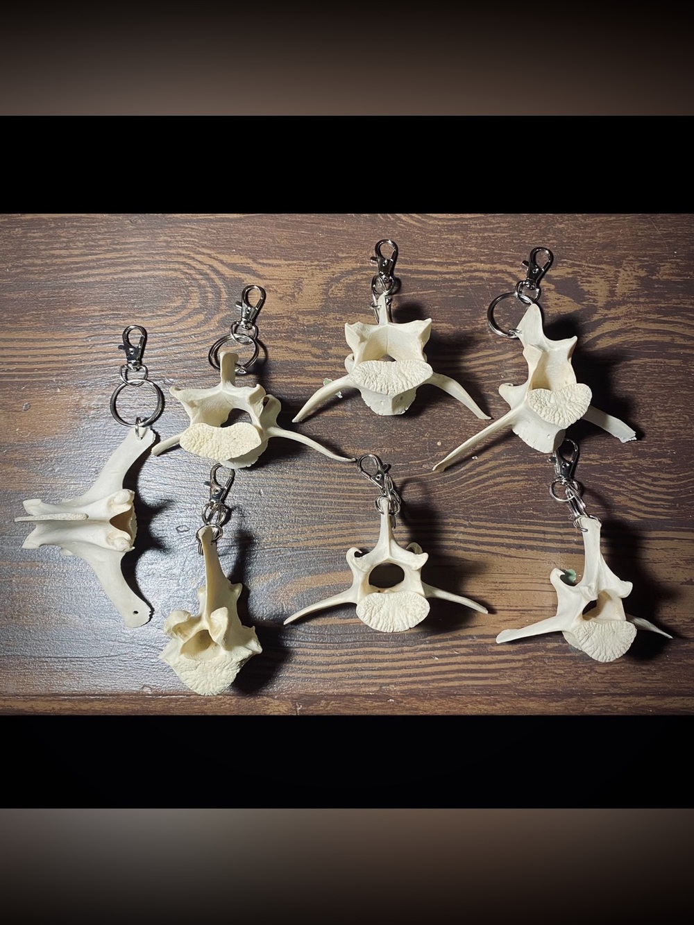 Deer Vertebrae Keychain